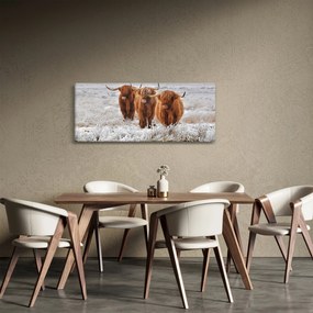 Tablou - Vaci scoțiene (120x50 cm)