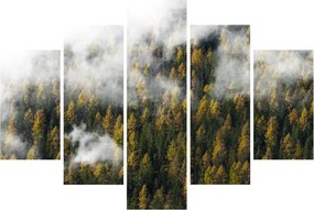 Tablou - Pădure în nori (150x105 cm)