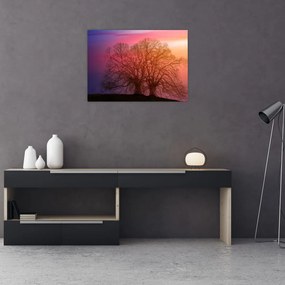 Tablou pe sticlă pomilor în ceață (70x50 cm)
