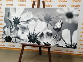 Tablou flori de grădină în design alb-negru