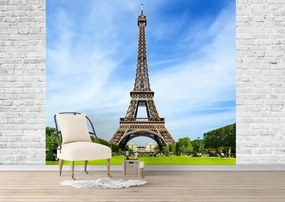 Fototapete, Turnul Eiffel inconjurat de frumusetile naturii Art.060166
