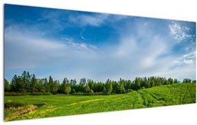 Tablou cu luncă (120x50 cm)