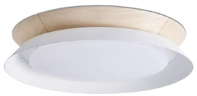 Lustra / Plafoniera LED design modern 45cm TENDER alba