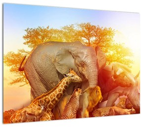 Tablou pe sticlă - Animale africane (70x50 cm)