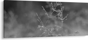 Tablou - Pajiște de țară (120x50 cm)