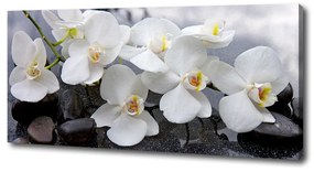 Tablou pe pânză Orhidee