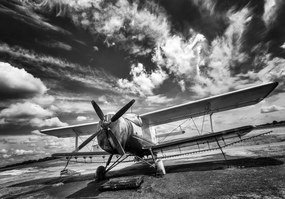 Fototapet - Avion (254x184 cm)