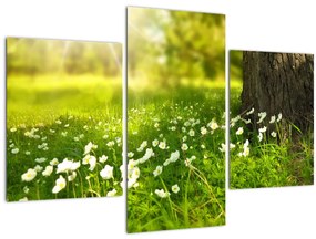 Tablou cu poiana și flori (90x60 cm)