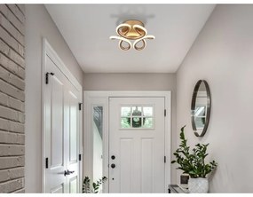 Plafoniera LED CCT MELISAND sampanie mat