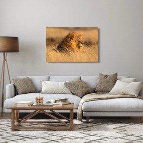 Tablou - Parcul Național Etosha (90x60 cm)