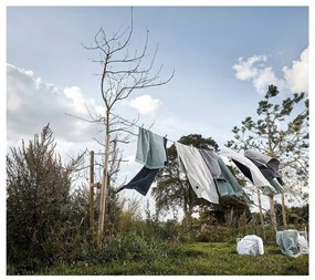 Prosop mâini din bumbac Zone Classic, 50 x 100 cm, gri maro