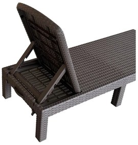Șezlong de grădină Zanjar (maro) . 1116564