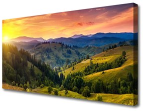 Tablou pe panza canvas Sun Mountain Forest Meadow Natura Galben Albastru Verde