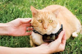 PetSafe® Extra Collar pentru pisici DeluxeUltralight
