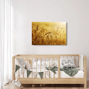 Tablou - Spice de cereale (90x60 cm)