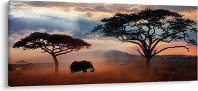 Tablou - Parcul Național Serengeti, Tanzania, Africa (120x50 cm)