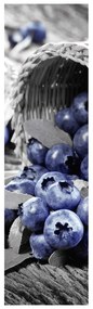 Fotojaluzele R012360R42150 (42x150 cm)