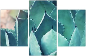 Tablou - Suculent (90x60 cm)