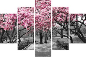 Tablou copacului magnolie (150x105 cm)