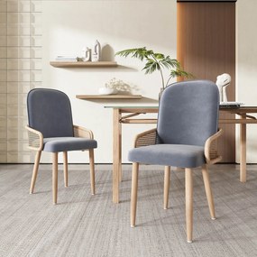 Set de 2 scaune moderne tapițate în ratan și material cu efect de catifea, Gri