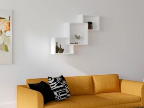 Raft Bimoni (alb) . 1095859