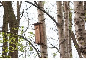 Căsuță pentru păsări din lemn – Esschert Design