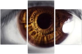 Tablou - Ochi (90x60 cm)