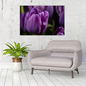 Tablou cu flori de lalele (90x60 cm)