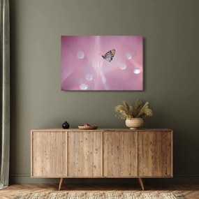 Tablou - Fluturele (90x60 cm)