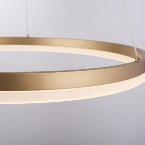 Lustră LED dimabilă pe cablu Paul Neuhaus 2382-60 TITUS LED/38,5W/230V