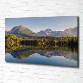 Tablou pe pânză canvas Panorama tatry