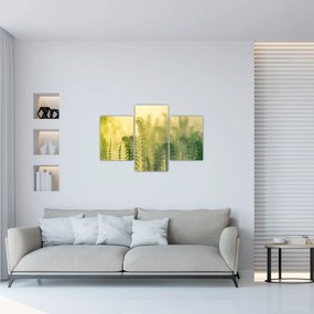 Tablou - Detaliu de primăvară natura cețoasă (90x60 cm)