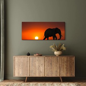 Tablou cu elefant în apus de soare (120x50 cm)
