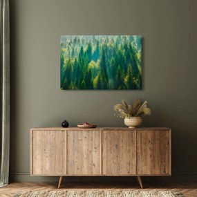 Tablou - Pădurea de brazi (90x60 cm)