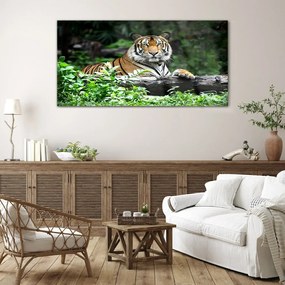 Tablou din sticla Forest Animal Cat Tiger