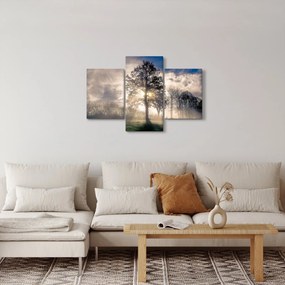Tablou cu copac în ceață (90x60 cm)