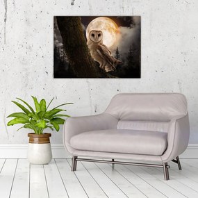 Tablou cu bufnița (70x50 cm)