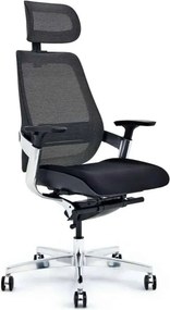 Scaun lemn masiv de birou ErgoElite Design Modern Negru