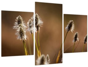 Tablou - Iarbă (90x60 cm)