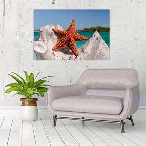 Tablou cu stea de mare (90x60 cm)