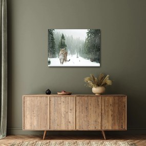 Tablou cu leopard în zăpadă (70x50 cm)