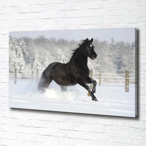 Imprimare tablou canvas Un cal în galop de zăpadă