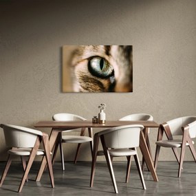 Tablou - Ochi de pisică (90x60 cm)