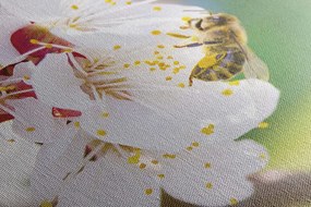 Tablou flori în pom primăvara