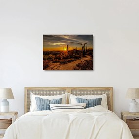 Tablou pe sticlă - Sfărșit de zi în deșertul Arizona (70x50 cm)
