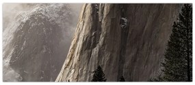 Tablou din valea Yosemite parcul național, SUA (120x50 cm)