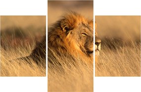 Tablou - Parcul Național Etosha (90x60 cm)