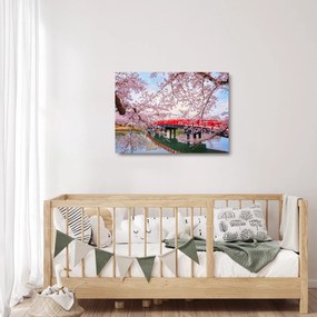 Tablou pe sticlă - Hirosaki, Japonia (70x50 cm)