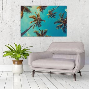Tablou - Palmieri înalți (90x60 cm)