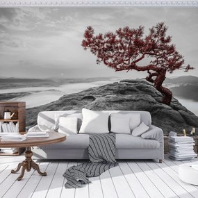 Fototapet - Copac pe stânci (152,5x104 cm)